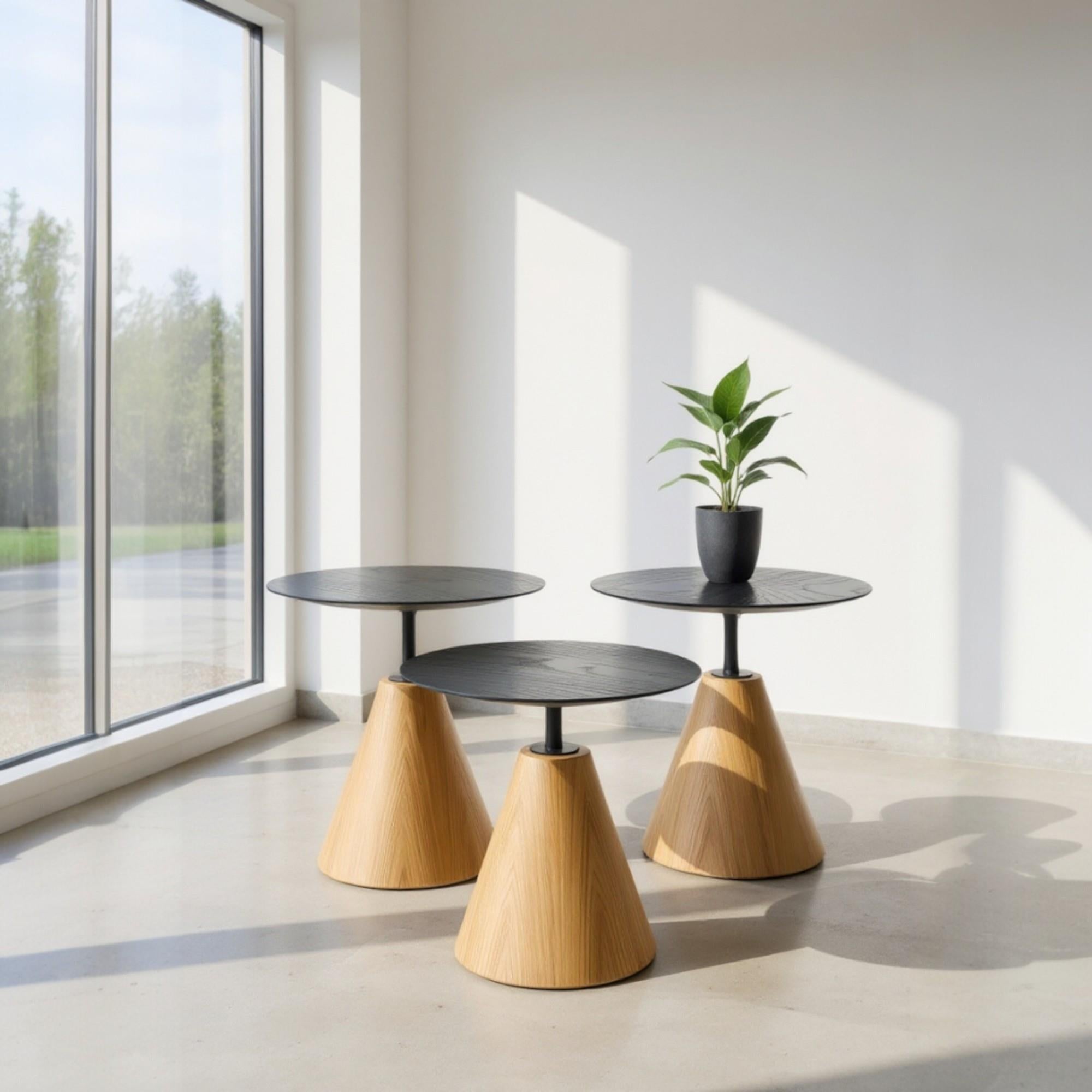 Rehome Üçlü Yuvarlak Mantar Zigon Sehpa Seti No:451 | Salon Sehpa Takımı